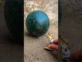Watermelon Vs Bullet