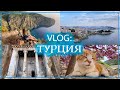 VLOG: ПЕРВЫЙ РАЗ В ТУРЦИИ / Кушадасы, Эфес, Даламан, Фетхие. 🏝