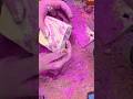 Plain Chalk ASMR Crush #shorts #trending #love