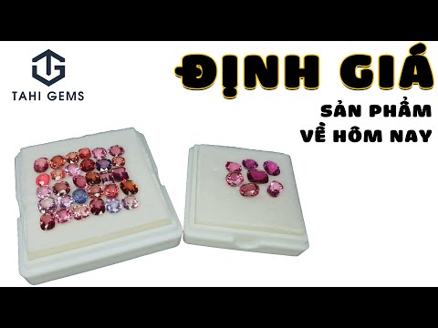 Video: Bộ Sưu Tập đồ đá Bằng Sứ Của Công Ty 