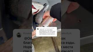 Вот такой трофейный улов на 5 кг Форель в Нидерландах ,рыбалка,отдых,природа,чистота,и