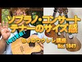 ソプラノ・コンサート・テナーのサイズ感 ／ 【毎日更新】 BJのウクレレ講座 No.1047