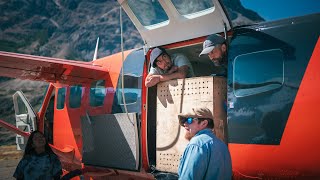 Más de 40 charitos son trasladados al Parque Nacional Patagonia para nueva liberación