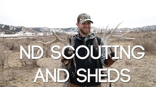 PART 1 NORTH DAKOTA SCOUTING AND SHEDS - #WiredToHuntWeekly 40