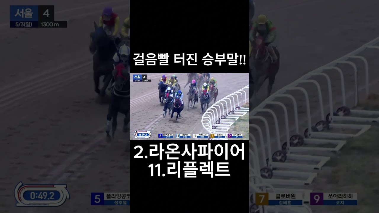 걸음빨 터진 승부말!!  #경마  #경마예상  #경마방송  #경마예상방송  #서울경마  #금요경마  #토요경마  #일요경마 #경마장