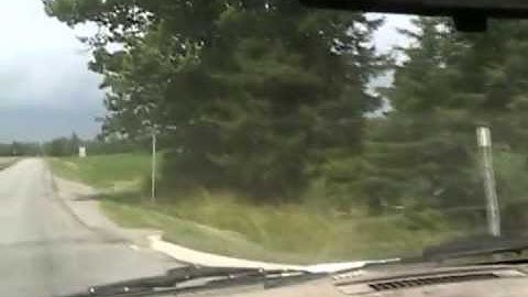 #1058 Wild catnip update  How to find it, now its flowering [Davidsfarm]