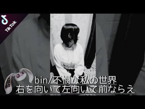 Tiktok Bin 不憫な私の世界 右を向いて左向いて前ならえ 黒歴史シリーズ Shorts Youtube Tiktok Bin 不憫な私の世界 右を向いて左向いて前ならえ 黒歴史シリーズ Shorts Youtube