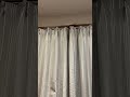 オカメインコのルクがカーテンレールの上で遊んだ。|2025.05.07|Shot on Apple iPhone 15 Pro MAX|#shorts