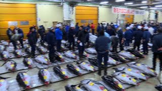 Japon: premières enchères de l’année au marché de Tsukiji