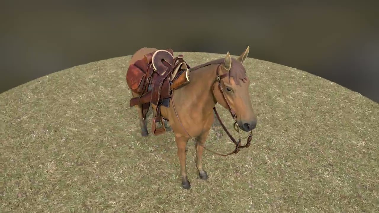 Alamo - Histovery - Hope Saddle