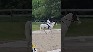 "Whitey" Holly Hill spring 26' HT Dressage Starter A 
