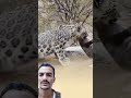 رب ك إذا أراد نصرك سخ ر لك من قلب الخطر نجاةومن عمق الألم فرج ا 