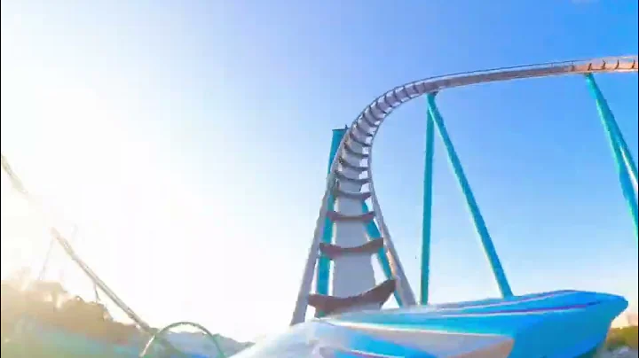 Mako on a perfect day