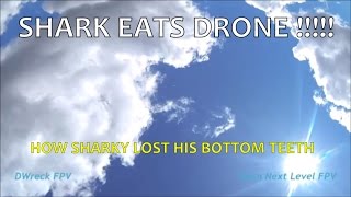 Shark Eats Drone Dwreck Fpv, Fpv Jamboree Best Crash Entry