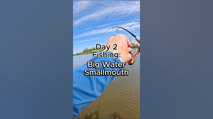Fishing the Largest Lake in the World for Smallmouth Bass - Part 2 #fishing #bassfishing #angler
