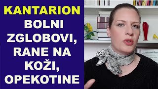 KANTARIONOVO ULJE - lečenje rana na koži, podmalđivanje, bolovi u zglobovima/dr Bojana Mandić