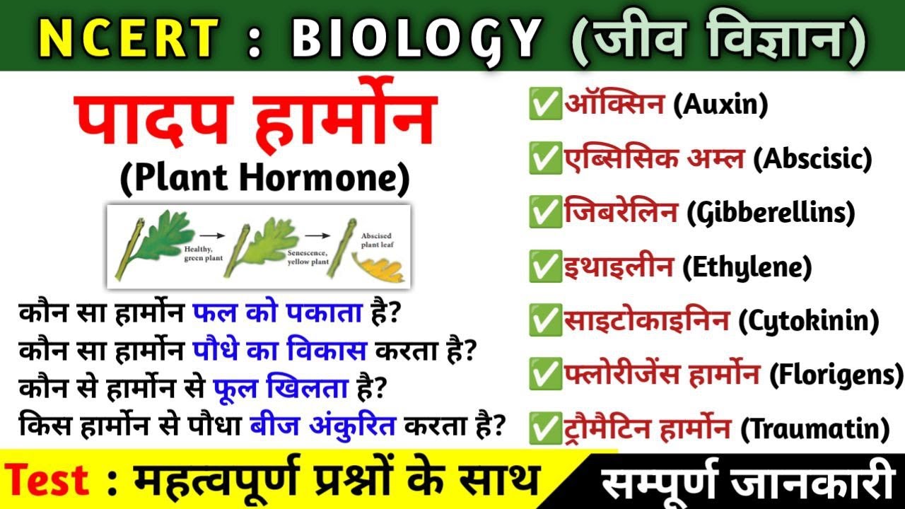 पादप हार्मोन | plant hormones | padap hormone | Biology | imp. for All exams