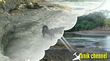 PANTAI KELATING TEMPAT BERMAIN ANAK - ANAK PANTAI @Tunikchennel