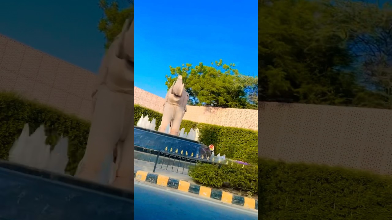 So high#shortvideo#trending#viral #sidhumoosewala