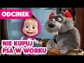 💥 Nowy odcinek 2026 💥 Masza i Niedźwiedź ⭐️ Nie kupuj psa w worku 🐶🦴😏 (Odcinek 142)