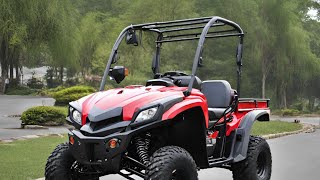 Hisun Sector 250 UTV  Common Problems & Solutions#carslover #utv #ATV
