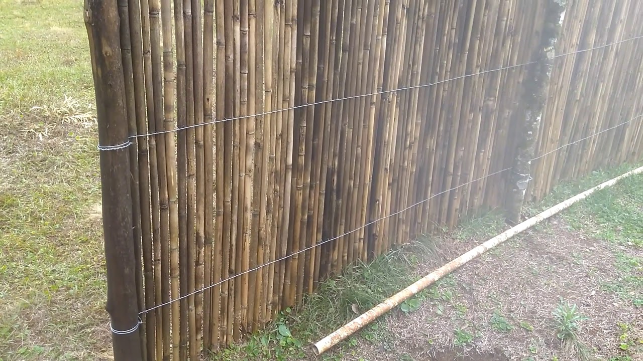 Como fazer uma cerca de bambu ou taquara