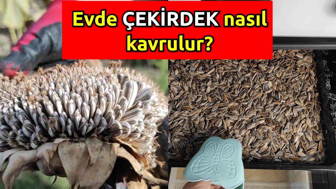 firinda cekirdek kavurmasi iddia ediyorum boylesini gormediniz youtube