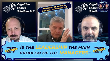 E027 (excerpt): Combining executive and consultancy experiences