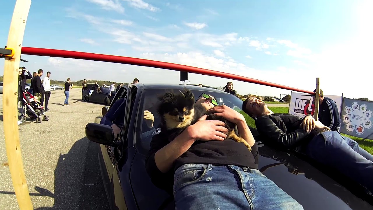 BMW E39 meet - Veiveržėnai (Lithuania)