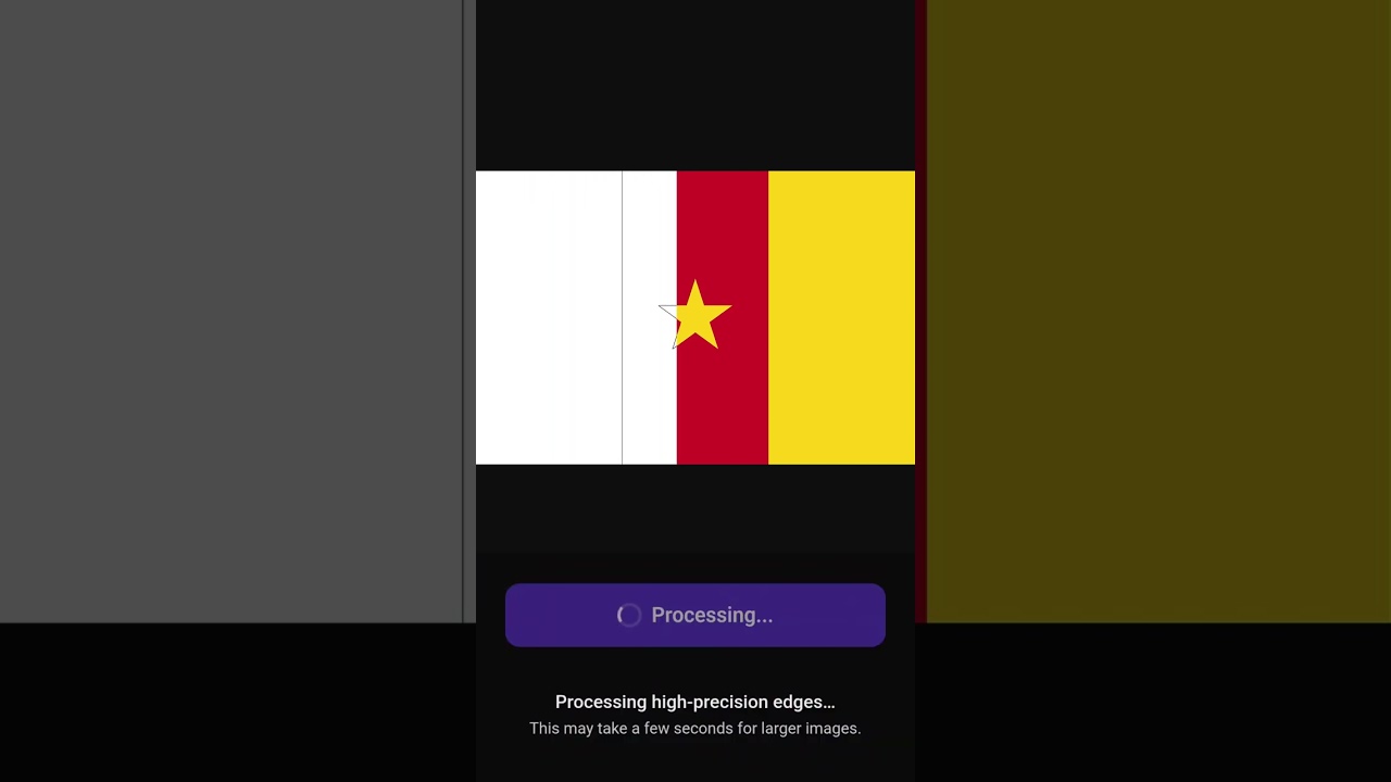 Cameroon Flag → Coloring Page