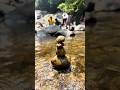 Munnar Day 3 - Lakkam Waterfalls (4K ULTRAHD HDR10+ 60FPS)