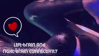 Left-brain and right-brain connectivity