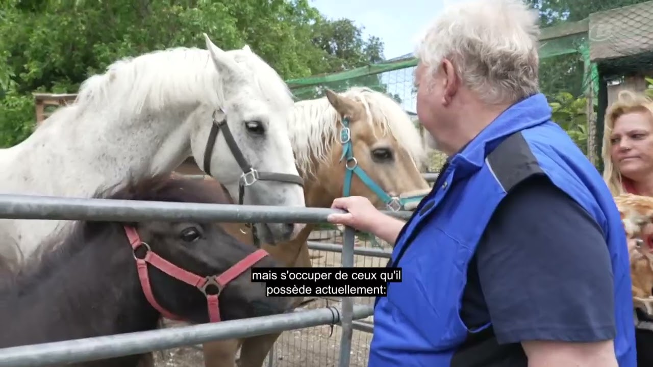 Un déménagement imminent pour le Findeltierpark