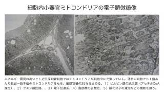 新技術『化学プール透析』の概念（化学プール薬剤と血液浄化の併用療法）_ノーカット版_Kim Sung-Teh