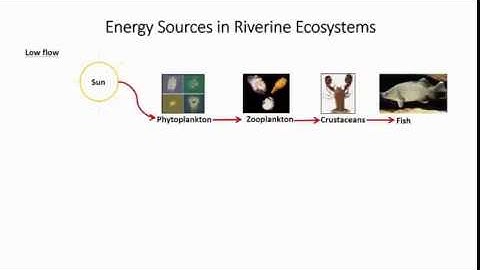 Assessing the influence of operation of an environmental flow regulator ...