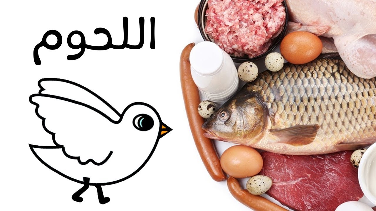 اللحوم ڤيديو تعليمي للأطفال Learn In Arabic Meats Youtube