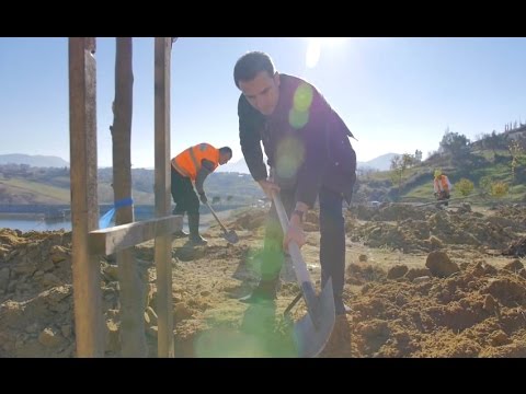 Video: Pemët E Krishtlindjeve, Parqet Dhe Urbanizmi I Madh