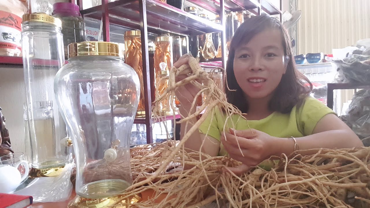 Tìm Hiểu Về Giá Sâm Dây Tươi Trên Thị Trường Việt Nam
