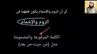 متن الشاطبية باب الوقف على أواخر الكلم مع الشرح الميسر والمبسط للشيخ أشرف بن حسني