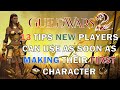 Guild Wars 2 - 13 Tips For New Players (New Player Guide 2020)