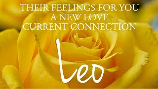 LEO love tarot ♌️ Someone Who Truly Wants To Be With You Leo 🤗 You Need To Hear This