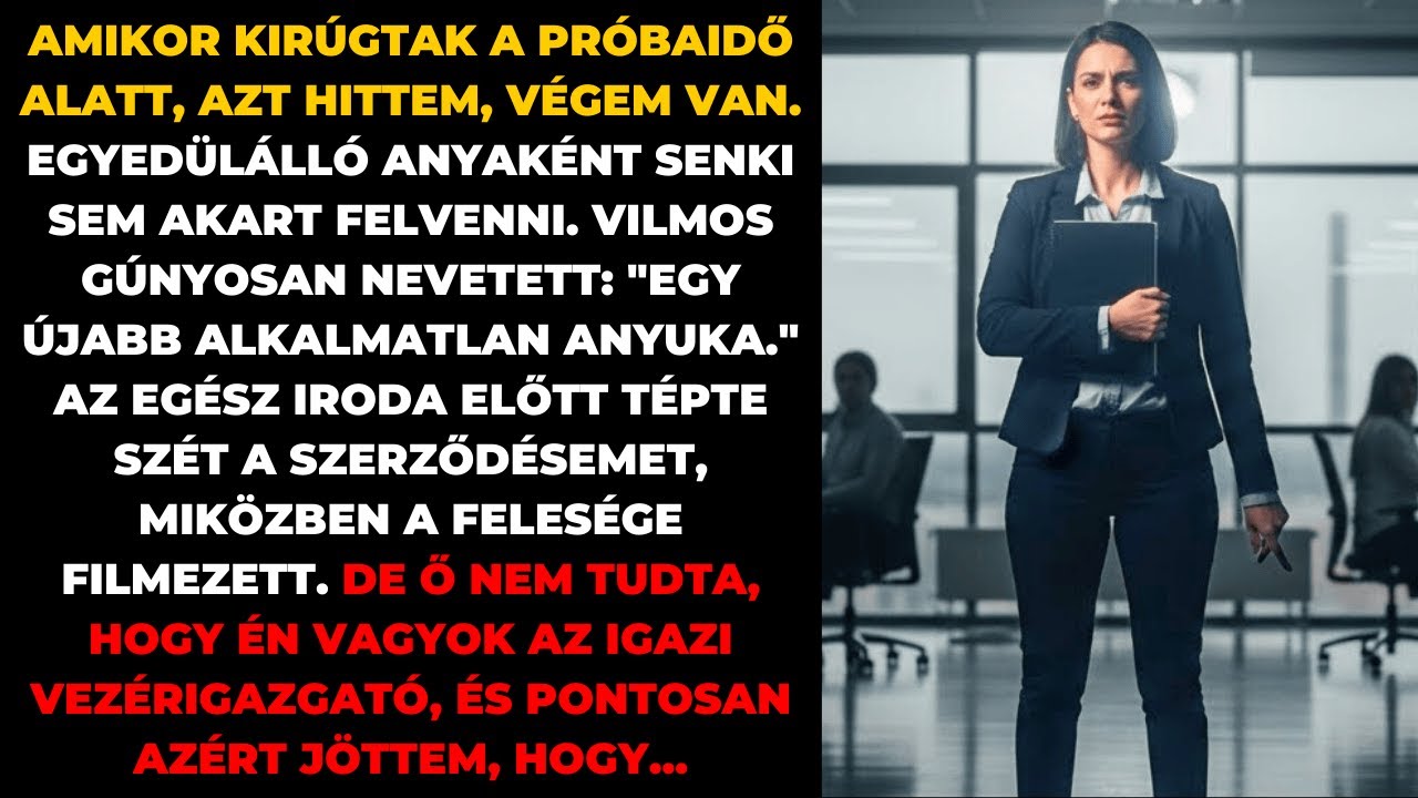 Kirúgtak a próbaidő alatt, nem tudva, hogy én vagyok a beépített vezérigazgató