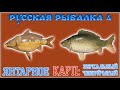 РР4 ЯНТАРНОЕ КАРП / РУССКАЯ РЫБАЛКА 4 ЯНТАРНОЕ КАРП / RUSSIAN FISHING 4 AMBER LAKE CARP