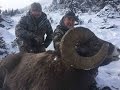 Alberta Minister's Tag Rocky Mountain Bighorn 2016 - Breland