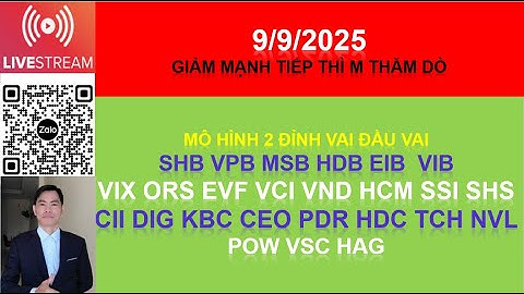 Cổ phiếu SHB VPB MSB HDB EIB VIB VIX ORS VCI VND HCM SSI SHS CII DIG KBC CEO PDR TCH NVL POW VSC HAG