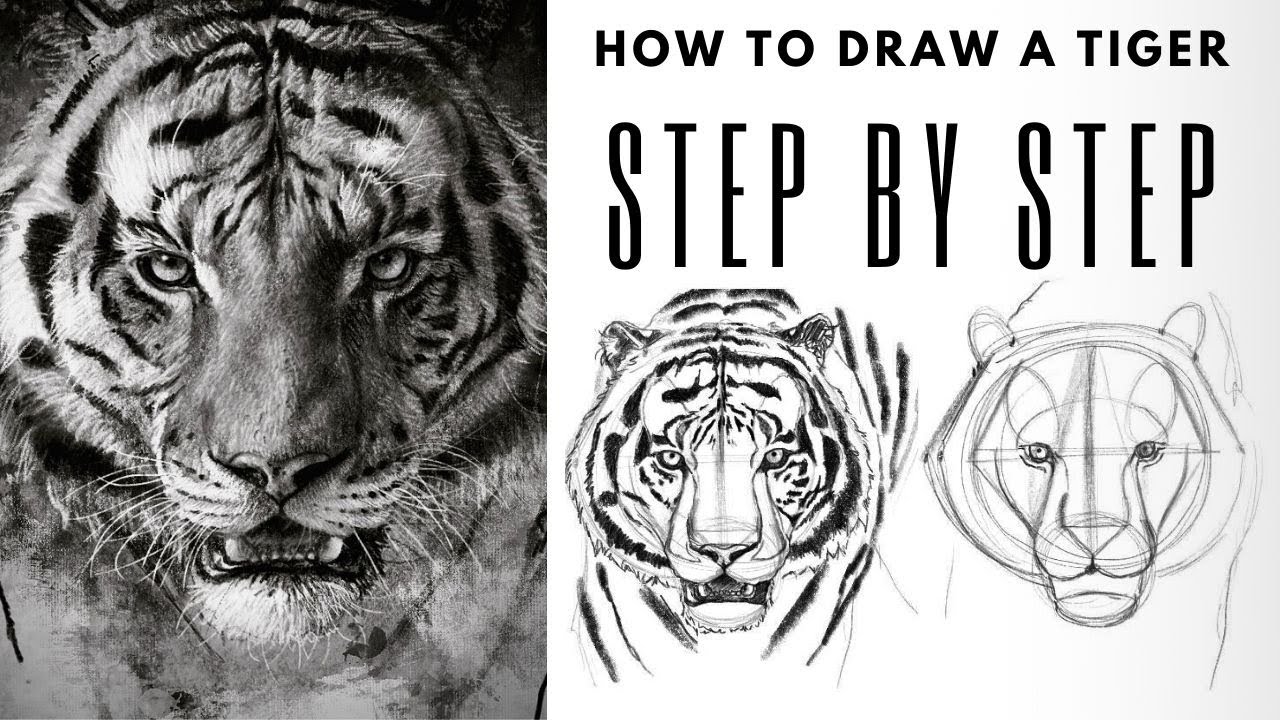 Realistic Tiger Drawing Class for Kids Melbourne | ClassBento