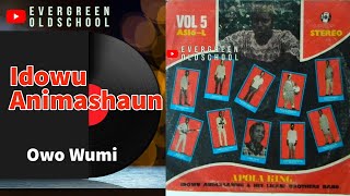 Idowu Animashaun - Owo Wumi