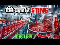 Sting कैसे बनती है? Factory का कड़वा सच 😳 | Energy Drink Process | Processing Guru