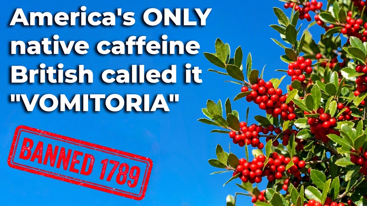 Better Energy Than Coffee — But One Royal Botanist Destroyed It With ONE Word