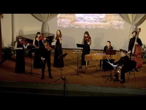 07. Antonio Vivaldi - Violin concerto in d minor &rsquo;Per Pisendel&rsquo;, RV 242